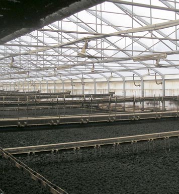 Drying of sevage sludge with industrial circulation fans from Fenne KG